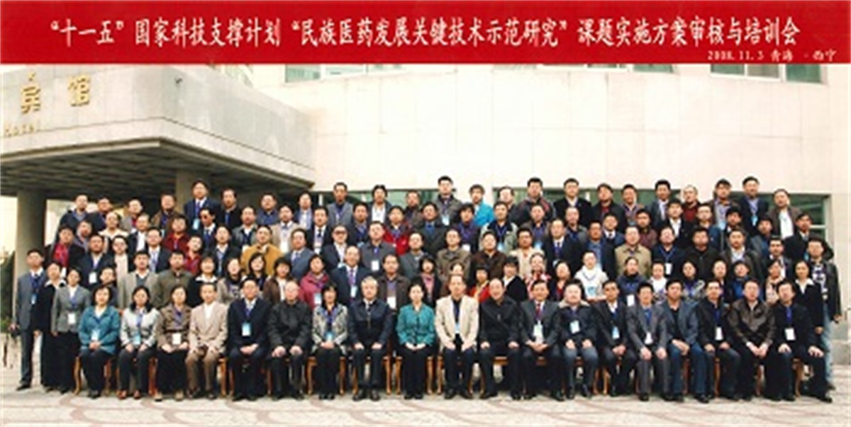 我院專業(yè)人員參加“十一五”國家科技支撐計劃“民族醫(yī)藥發(fā)展關(guān)鍵技術(shù)示范研究”課題實施方案審核與培訓(xùn)會